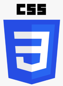 CSS Training in zubarah