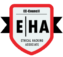 Ethical Hacking Training in dukhan