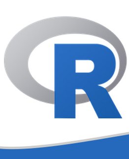 R Programming Training in al rayyan