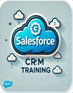 SalesForce Training in mesaieed